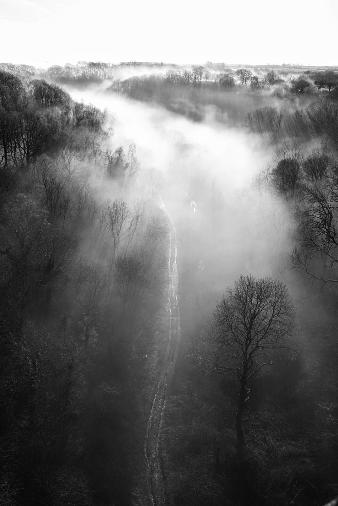 Aerial view of a misty valley, path cutting through bare winter trees