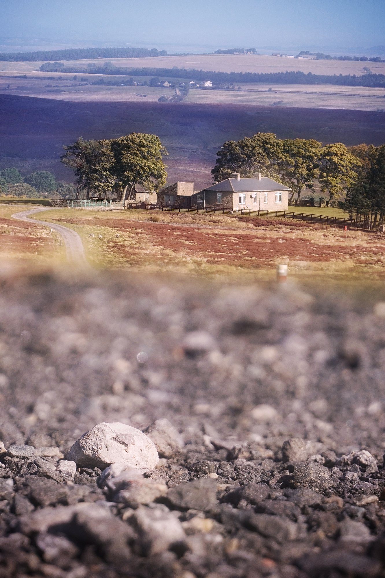 Isolated moorland farmhouse seen from a rocky hillside